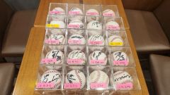 直筆サイン入りボールセット 阪神タイガース 2021年 開幕スタメン