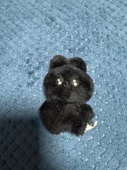 セルカークレックスの子猫 あみぐるみ ハンドメイド ぬいぐるみ アート