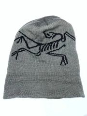 ARC'TERYX スケルトンデザイン ニット帽 - メルカリ