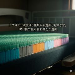 エアーSX] ベッドマットレス REGULAR キング 「すのこ有り別途