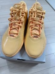 山*郎様 レブロン20タイムマシーン - メルカリ