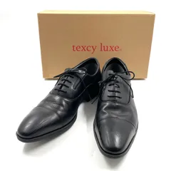 テクシーリュクス texcy luxe 本革 ビジネスシューズ TU-8002 GORE-TEX ブラック 25.5cm EEE 【MY317】