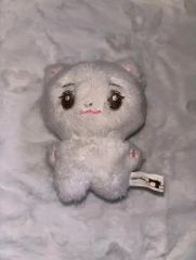 お値下げしました‼️IVE レイ ぬいぐるみ 10cm マスター マスコット