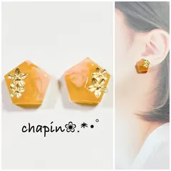 （ 1218 ）カボション 五角形 レジン ピアス イヤリング ニュアンス