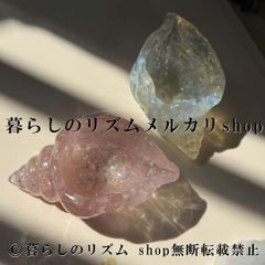 クイーンコンクシェル❤スフィア 激レア 天然 カリブ海 天然石 コンク 