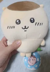 くりまんじゅう 20cm ぬいぐるみ (正規品 タグ付き)