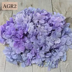 アトランティスアジサイ プリザーブドフラワー (アジサイ あじさい 紫陽花) ハンドメイド アレンジ 制作 資材 材料 スワッグ リース ブーケ ハーバリウム レジン ラベンダーミスト (AGR2) 20gのサムネイル