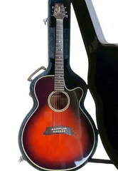 2026年最新】takamineハードケースの人気アイテム - メルカリ