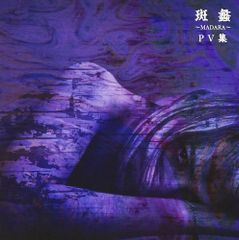 the GazettE 初回限定版DVD まとめ売り - メルカリ