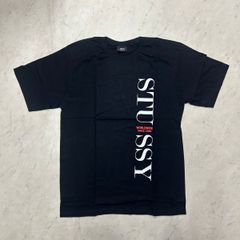 極美品 Stussy マルチボーダー ポケット Tシャツ L ステューシー