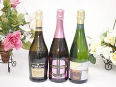 ブラジル産砂糖きび蒸留酒 プレミアム 1988年 47% 600ml 箱無 古酒