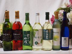 リキュール 6本セット MALIBU MIDORI 他 - メルカリ