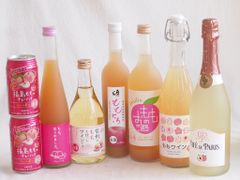 モナンシロップ12本セット（カシス、ライチ、マンゴー、ココナッツなど