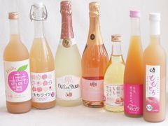モナンシロップ12本セット（カシス、ライチ、マンゴー、ココナッツなど