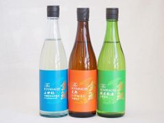 江ノ電ワイン「KINO × RYU AMBE × 江ノ電」 新型700形就役記念 - メルカリ