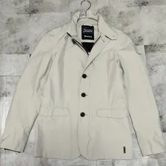 洗える【極美品】HERNO × Laminar GORE-TEX サイズ44 ユニセックス 男女兼用 ジャケット ジップアップ ダブルジップ ポリエステル ライトグレー 防風 防水 ヘルノ ゴアテックスのサムネイル