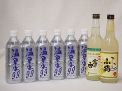 秋田サワー 塩レモン 350ml 48本2ケースセット 男鹿半島の塩使用 