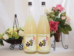 レモンサワー 水翠ソーダ チューハイまとめ 66本 レモンサワー 水翠ソーダ チューハイまとめ 66本 | Mercari