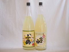 10Rワイナリー タイヤマンシリーズ・ノコフクシロ MV 2本セット - メルカリ