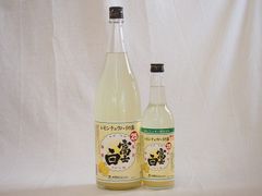 未開栓 さつま大海 透明瓶 焼酎 1800ml 25度 ヴィンテージ 古酒 - メルカリ