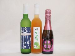 空瓶 新政 アストラル・プラトー3種 - メルカリ