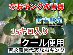 予約販売 青梅 クール便 正品 15キロ 6月上旬発送 梅 なおキングの梅のサムネイル