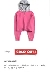 ケミカルスポーツ ヴィンテージ STUSSY ステューシー クロップドフーディー