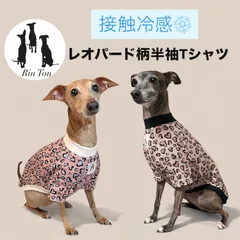 2026年最新】イタグレ服ハンドメイドの人気アイテム - メルカリ