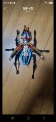 トランスフォーマー BOTCON2015 ワルダーマローダーズ ストーム