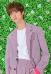 SEVENTEEN 2018 JAPAN TOUR HARU DVD - メルカリ
