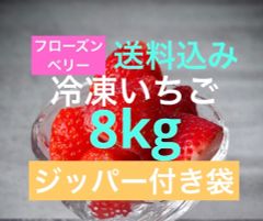 冷凍いちご12kg 完熟とちおとめ【お買い得品】 - メルカリ