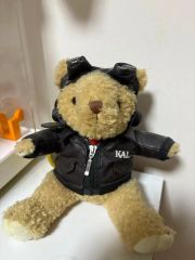 コリアンエアー テディベア ぬいぐるみ クマ 熊 飛行機 空港