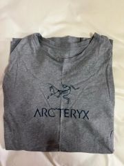 ARC'TERYX アークテリクス リザード トカゲ Tシャツ アウトドア 定番