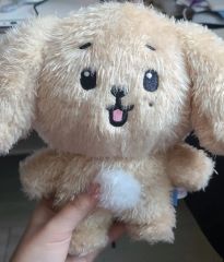 MINITEEN DOA ドア DK ドギョム ぬいぐるみ PLUSH TOY - メルカリ