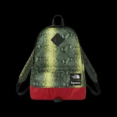 シュプリーム x THE NORTH FACE スネークスキン ライトウェイト デイパック グリーンのサムネイル