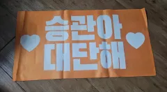 SEVENTEEN スングァン スローガン