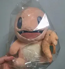 未開封 ポケットモンスター ヒトカゲ リザードン ぬいぐるみ LITTLE Daydream
