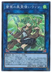 遊戯王OCG 青翠の風霊使いウィン　PSA10 遊戯王 蒼翠の風霊使いウィン 25th PSA10 【公式通販】