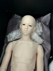 支倉常長 スーパードルフィー ボークス VOLKS SDGr 未使用品 - メルカリ