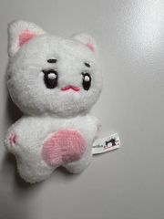 &TEAM ハルア 10cm ぬいぐるみ 하토루아 マスター - メルカリ
