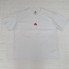 NIKE ACG センターロゴ Tシャツ 希少 ホワイト ビッグサイズ XXL 