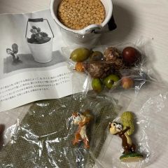 ディズニー (春の大収穫) チップ&デール アクセサリー、小物入れ