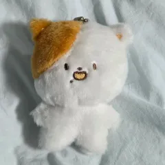 ポケチ