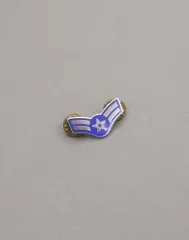 アメリカ空軍 USAF AIR MAN エアフォース アメリカ空軍 一等兵 ピンバッジのサムネイル