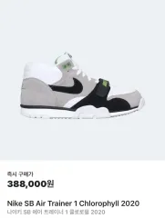 出品) NIKE ナイキ SB エア トレーナー1 2020