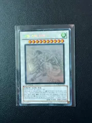 遊☆戯☆王 SHOOTING STAR DRAGON 1st ファー ホロ ファーホール STBL-KR040