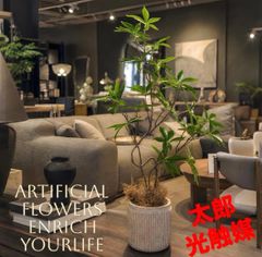 光触媒　人工観葉植物　ウォールグリーン　フェイクグリーン　カクタスポット64 光触媒 人工観葉植物 ウォールグリーン フェイクグリーン カクタ