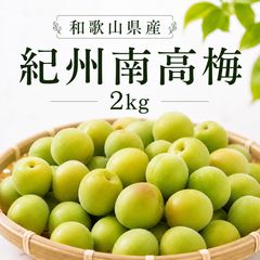 南高梅&鶯宿梅】青梅ミックス2キロ 鹿児島産 冷蔵発送 栽培期間中農薬