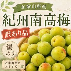 5月26日より順次発送【農家直送】 紀州南高梅 和歌山県白浜町産 家庭用