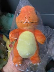 即日発送】中国ポケモンセンター限定 ヒトカゲ ぬいぐるみ タグ付 